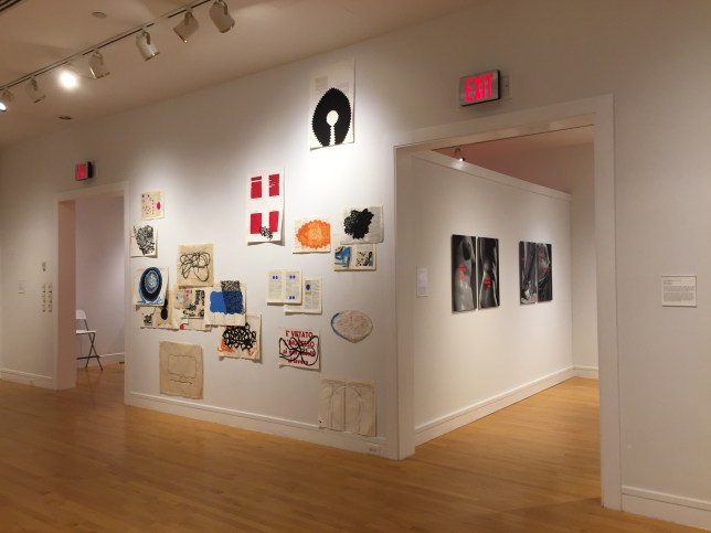 Regola/Rule, Van Every Smith Galleries, Davidson College, Davidson, NC, 2016