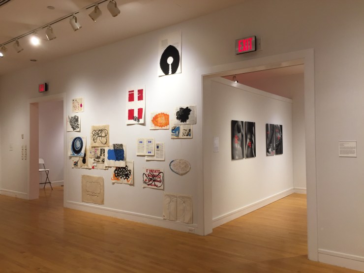 Regola/Rule, Van Every Smith Galleries, Davidson College, Davidson, NC, 2016